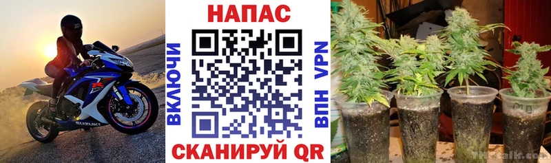 Бошки марихуана ГИДРОПОН Биробиджан